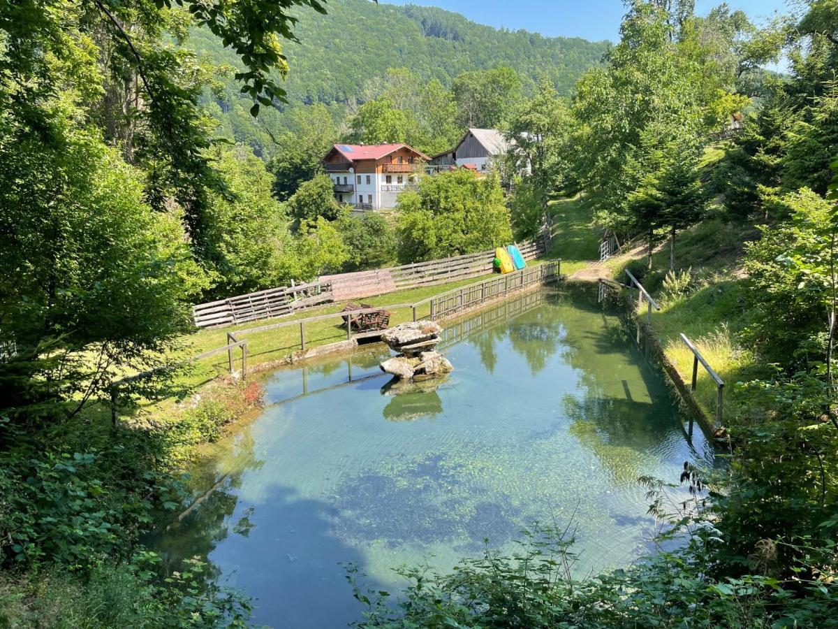 Buechlhof - App. Himmelalm Apartment Lilienfeld Bagian luar foto