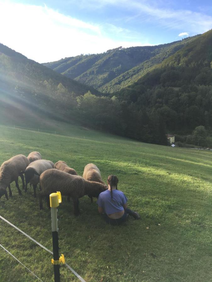 Buechlhof - App. Himmelalm Apartment Lilienfeld Bagian luar foto