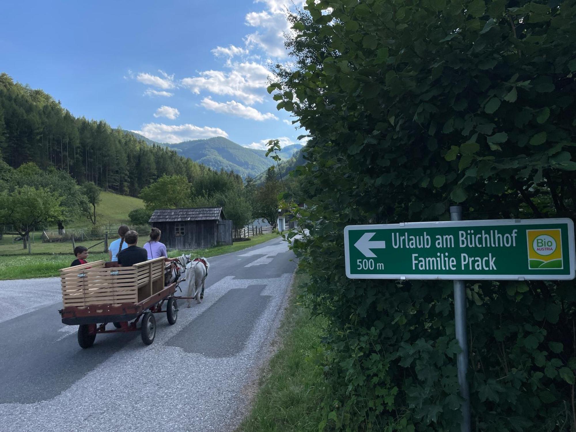 Buechlhof - App. Himmelalm Apartment Lilienfeld Bagian luar foto